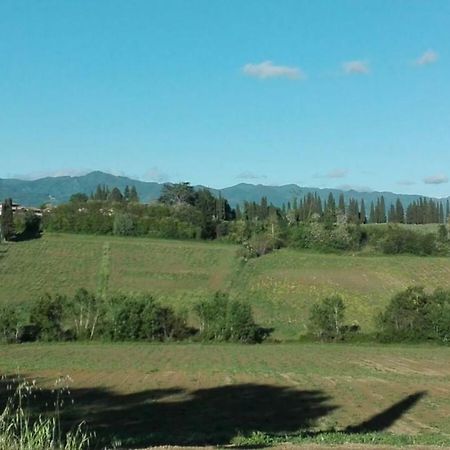 La Dimora Di Angela Daire Barberino di Mugello Dış mekan fotoğraf