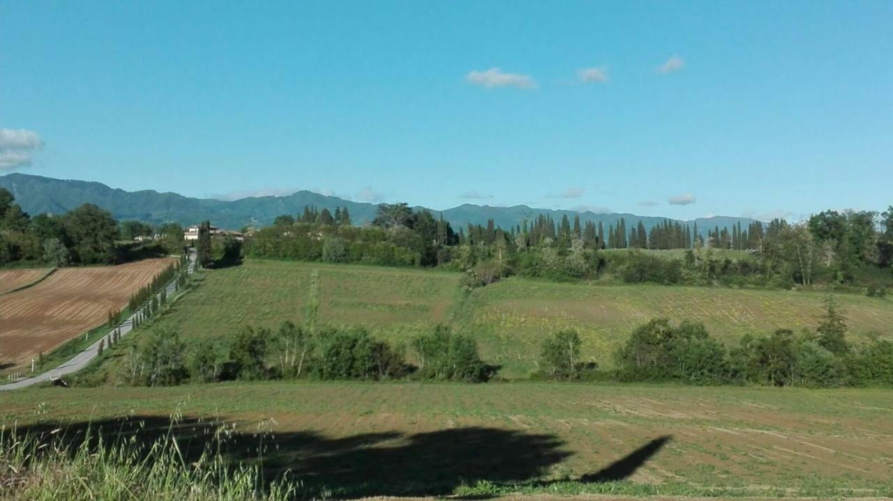 La Dimora Di Angela Daire Barberino di Mugello Dış mekan fotoğraf